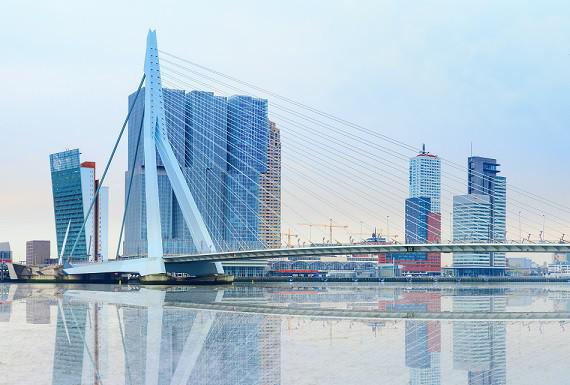 rattenbestrijding-rotterdam