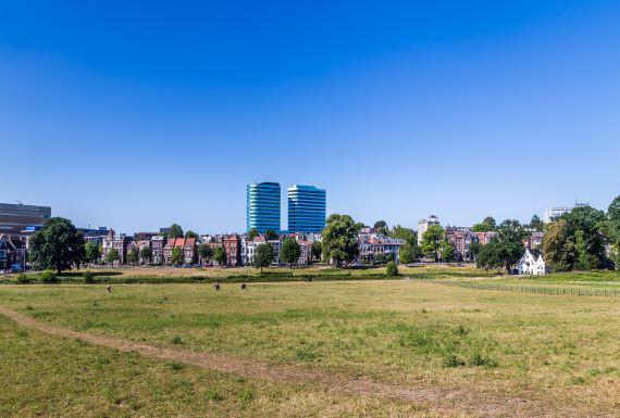 rattenbestrijding-arnhem