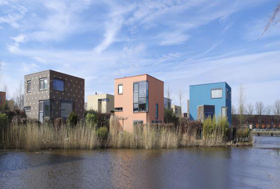 rattenbestrijding-enschede
