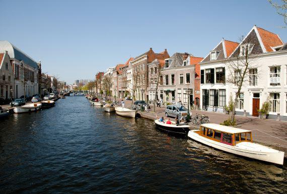 rattenbestrijding-leiden